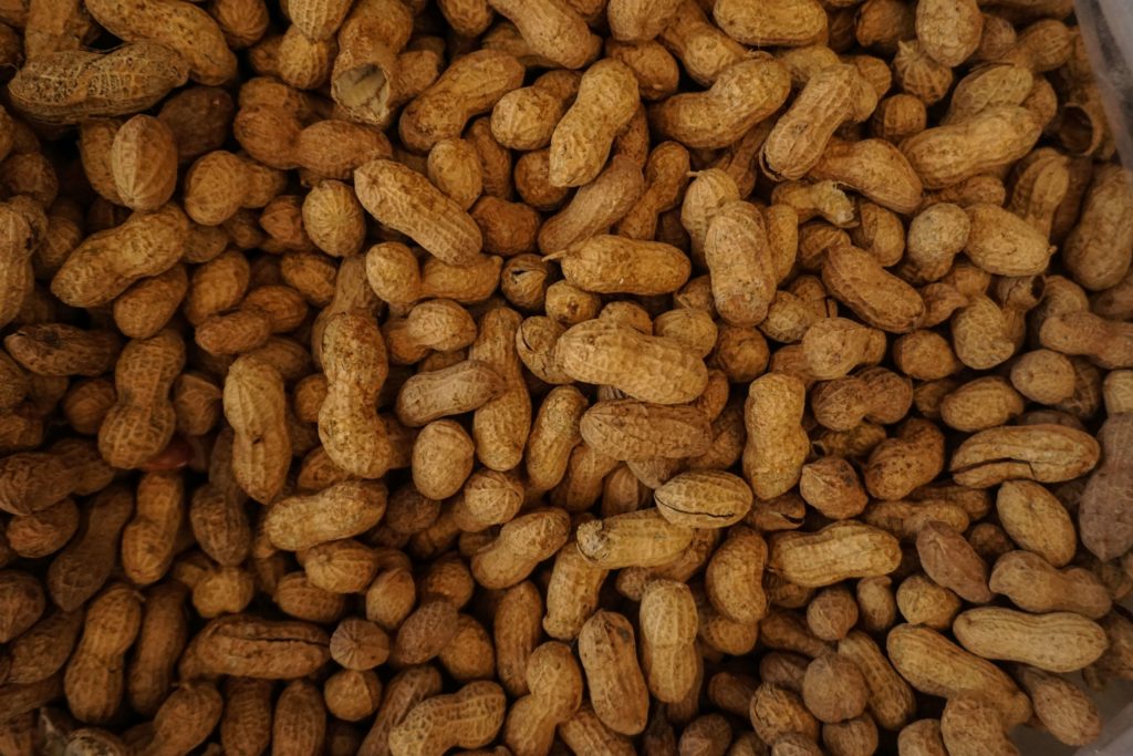 Photo of peanuts