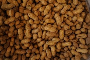 Photo of peanuts