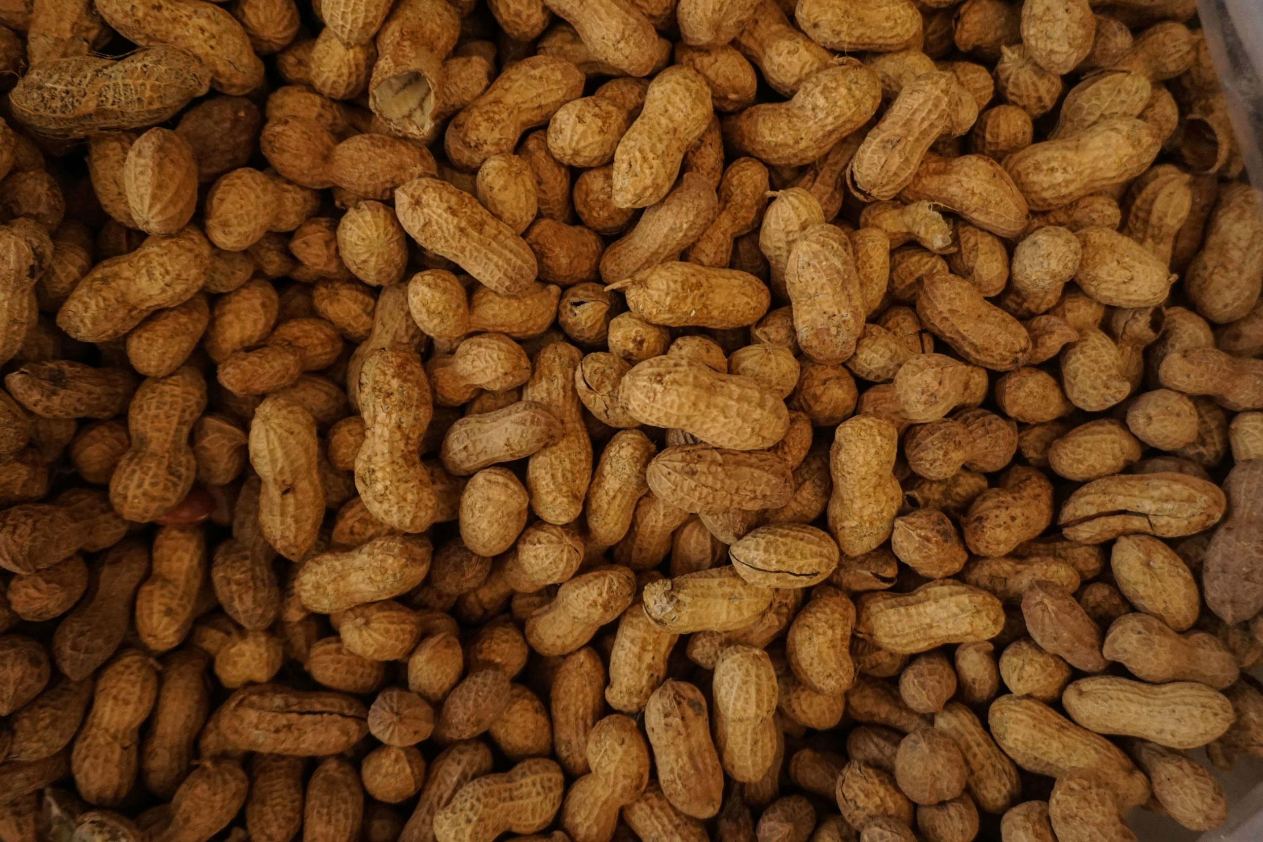 Photo of peanuts