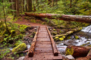 Wooden bridge crossing a stream on a hiking trail in the woods